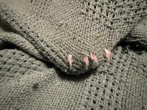 My blanket is very fierce tonight