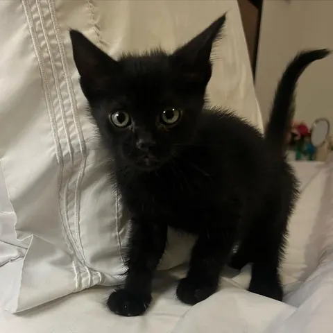 If you’ve had a bad day, just look at my tiny void. Hopefully it gets better.