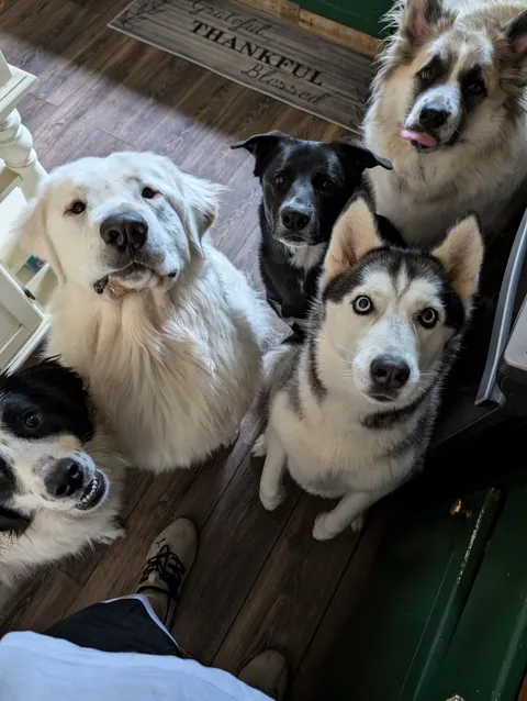 Helping with breakfast prep work 