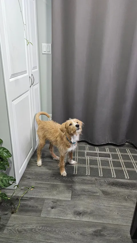 Early morning moth hunting. It got away.