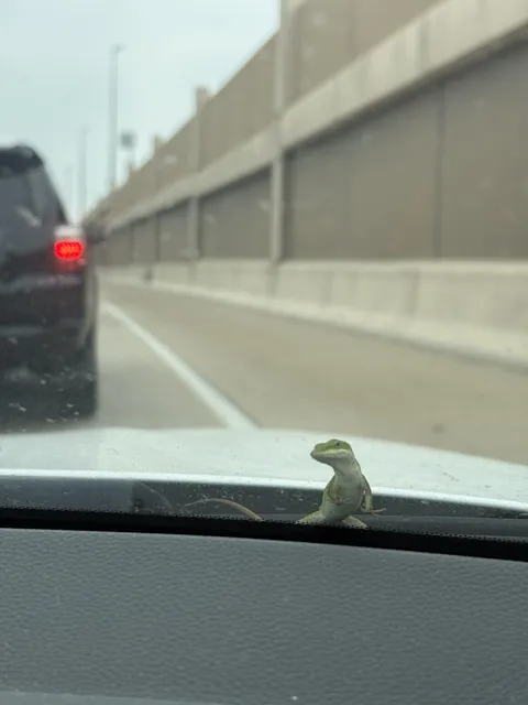 [OC] I’m about to save 15% off my car insurance