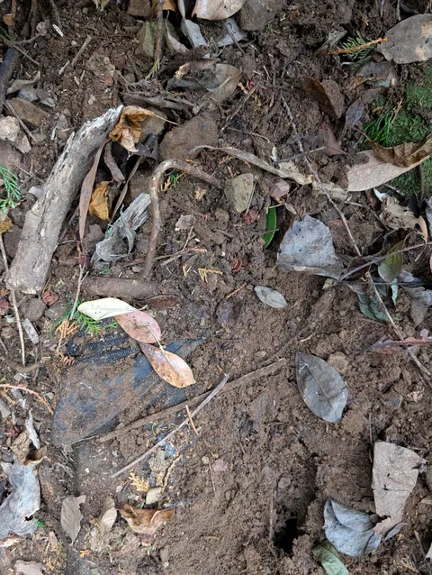 I found a camcorder in the woods of Japan