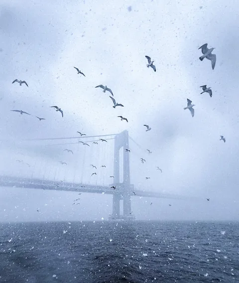 ITAP of seagulls in a blizzard