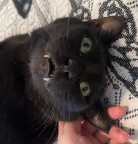 He Discovered Cardio and Now I Suffer