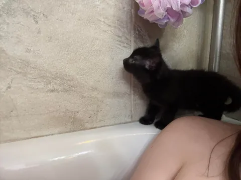 Bobbi has never in her 7 months of life let her hatred of water get in the way of her clinginess.