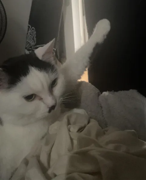 Should I be worried?