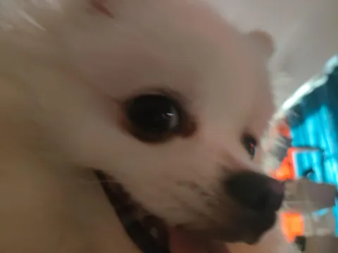 The last thing you eat is what I naming him