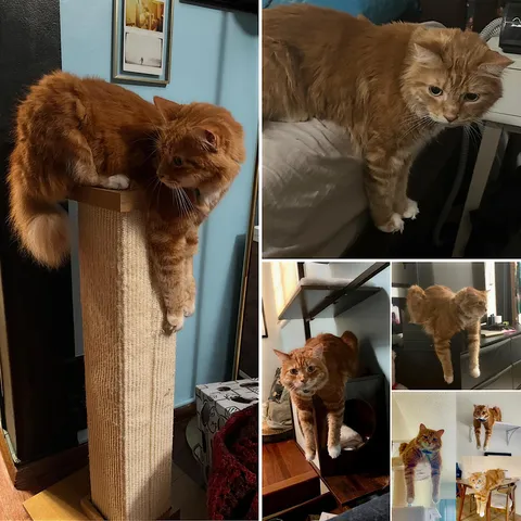 2 yrs later, 1 lb lighter, still dangling everywhere