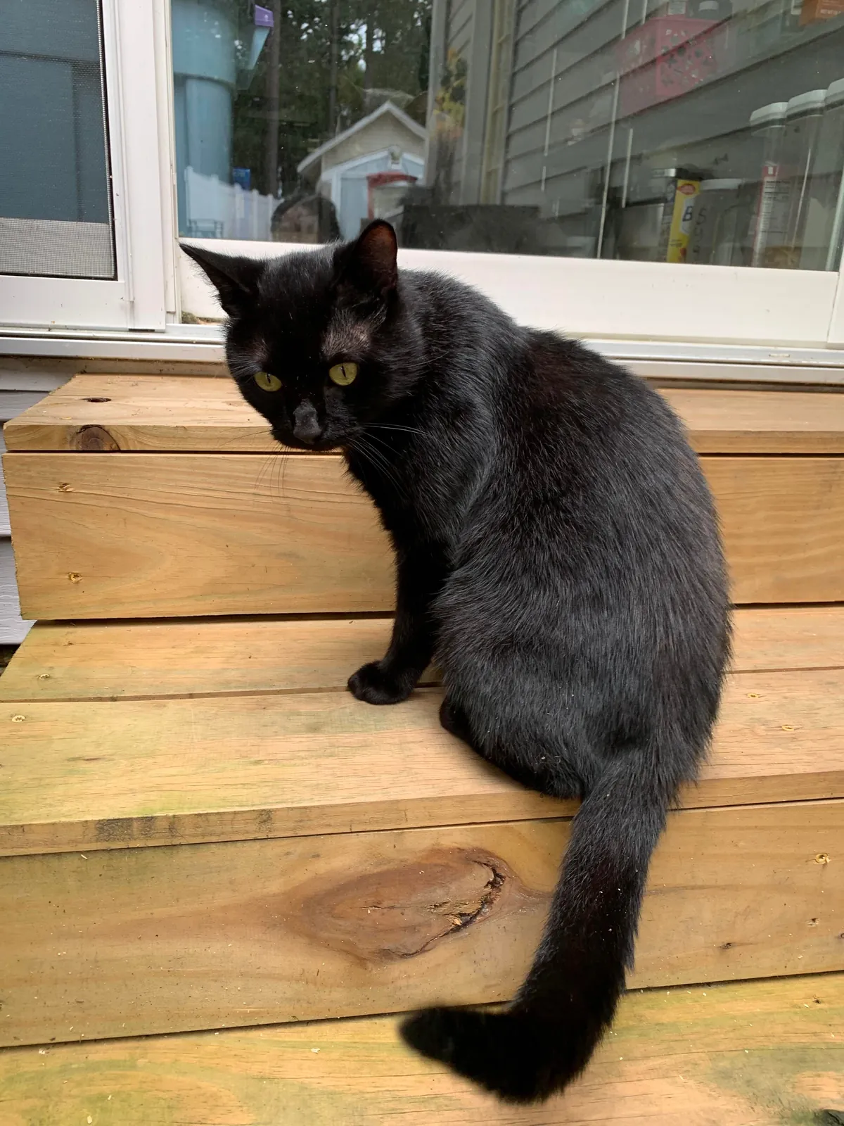 This guy. This f***ing guy.  I’ve been trying for weeks to capture and de-nut him. He is the Jean Valjean to my Javert. The Moby Dick to my Ahab. The Phantom to my Clouseau.