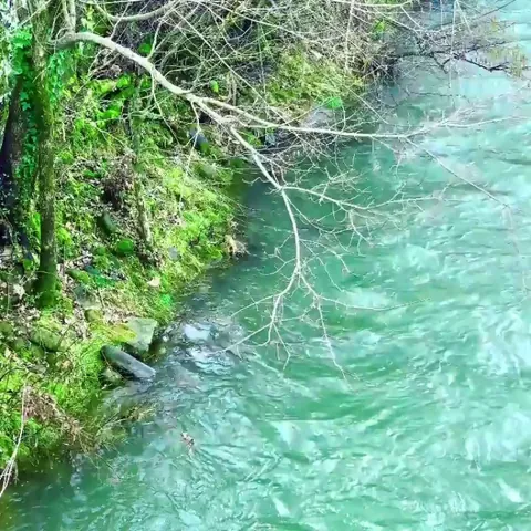 Blue creek running through downtown