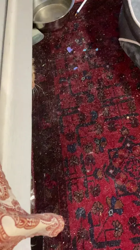 I heard a scratching under the bed…