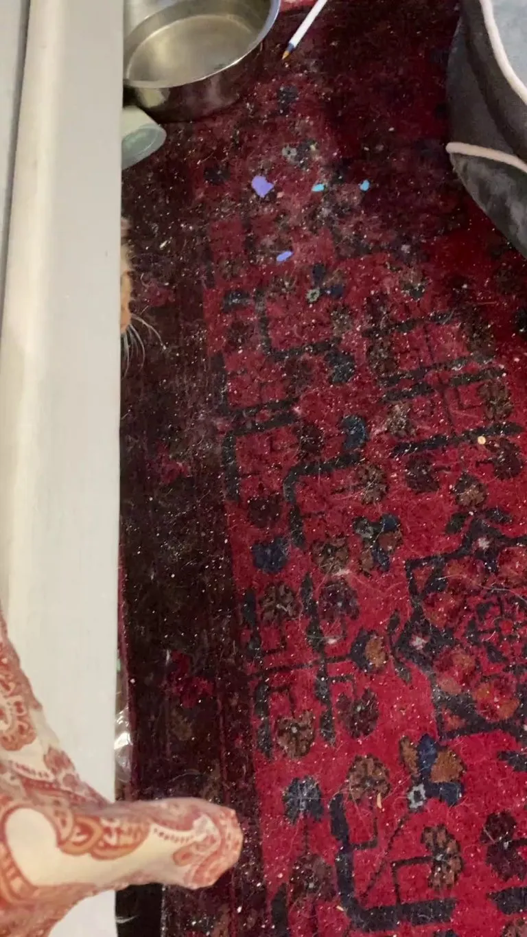 I heard a scratching under the bed…