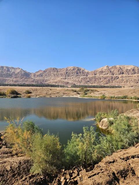 The Dead Sea: a tale in eight pictures