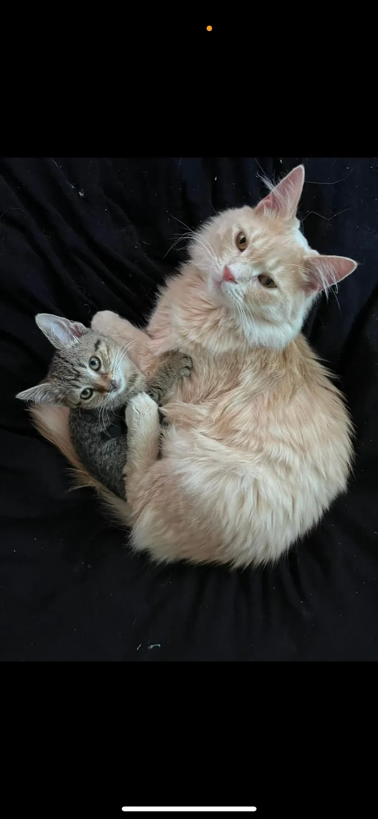 Marty really stepped in as a father figure for her 🥺