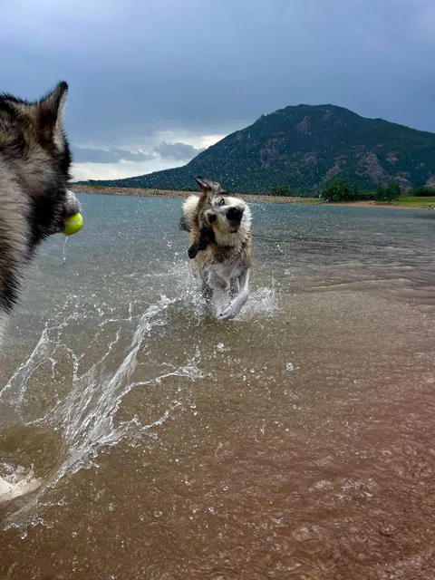 One of my favorite pictures I’ve ever taken - and the goofiness leading up to it!