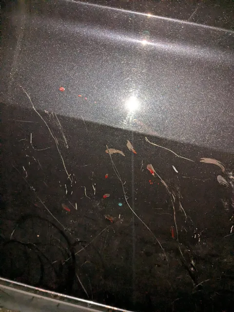 Found a shit ton of scratches and dried blood on my car tonight, looks like maybe some rabid animals were fighting near it?