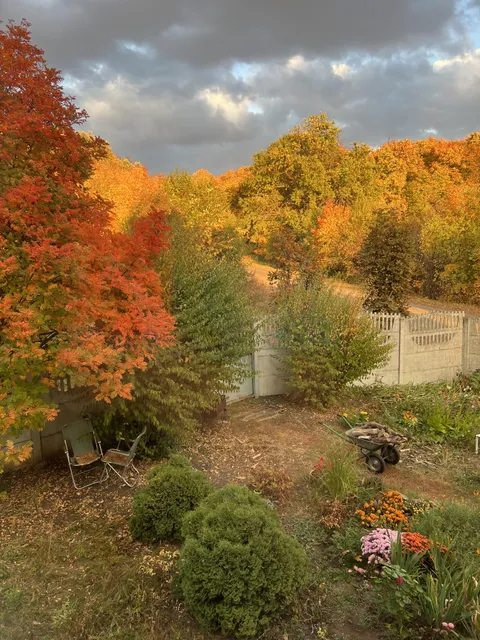 This Fall is so pretty! 