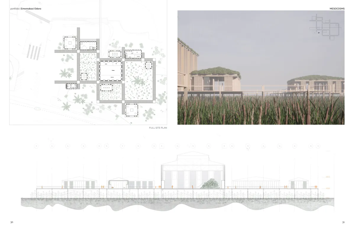 Couldn't obtain a internship/job