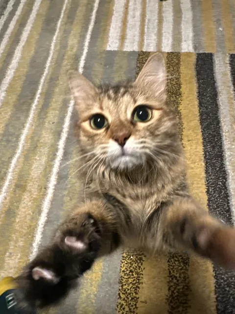 Coca Cola wants to hug you