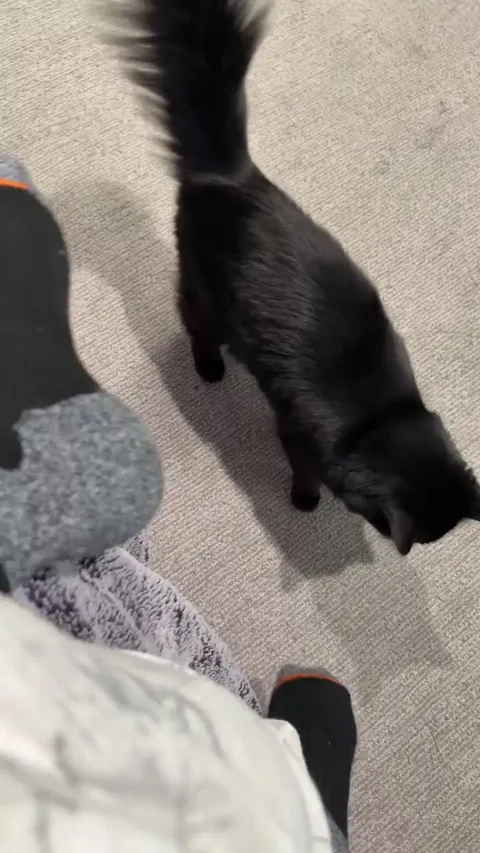 Who knew a 99¢ ball from Walmart would be her prized possession