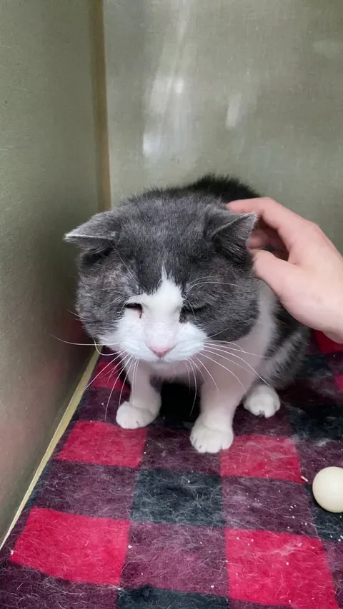 It’s Géode from our shelter! 