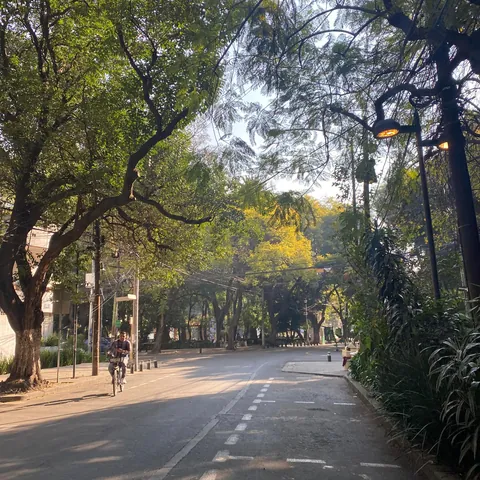 Mexico City had the Lushest, Greenest, Most Beautiful Neighborhoods I've Ever Seen
