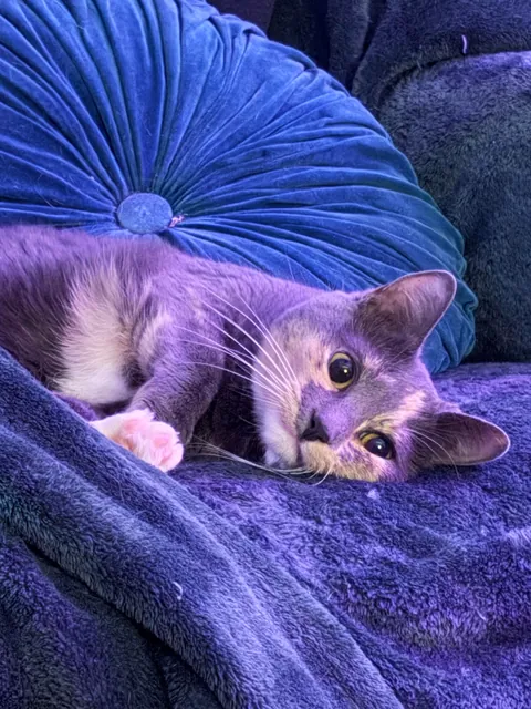 Wanted to show off my baby on her birthday!