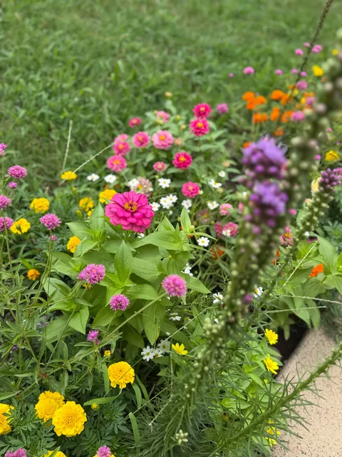 First garden (UPDATE)