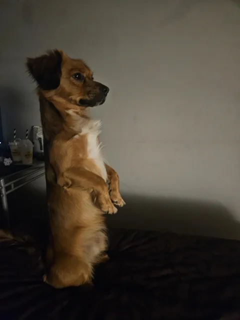 Kevin has impeccable posture