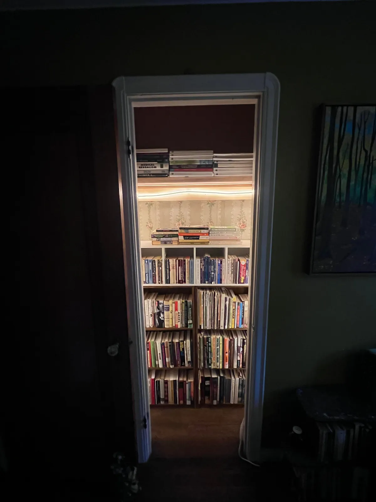 I turned my guest bedroom into a library, with a book closet and trundle bed