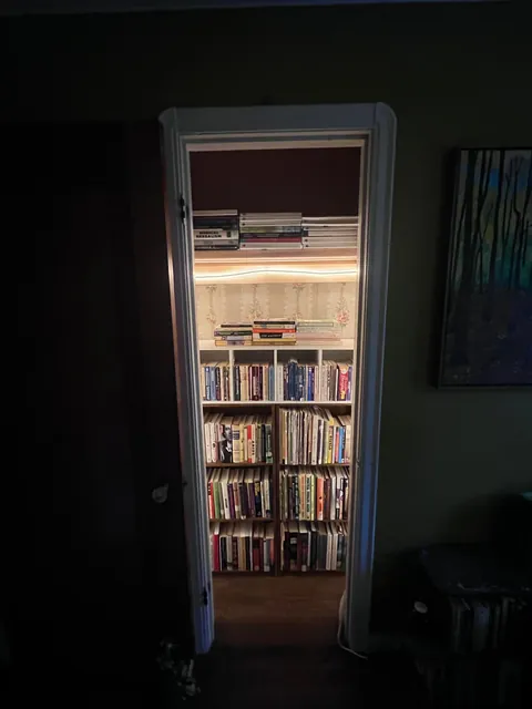 I turned my guest bedroom into a library, with a book closet and trundle bed