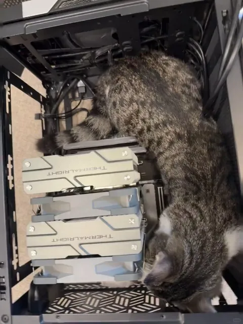 Trying to build my new PC… but my tiny fluff boss won’t let me.