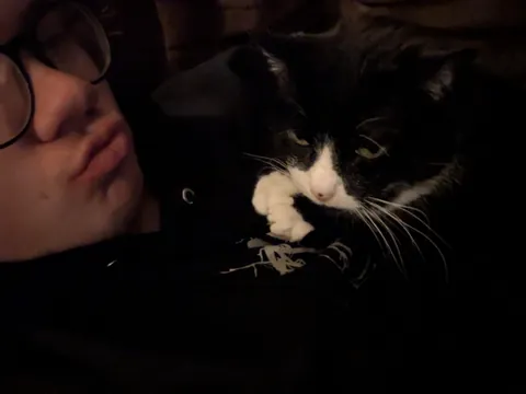 Baby who I've had for 11.5 years just started snuggling