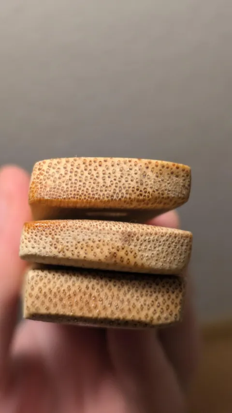 Roommate insists one of these belongs to her