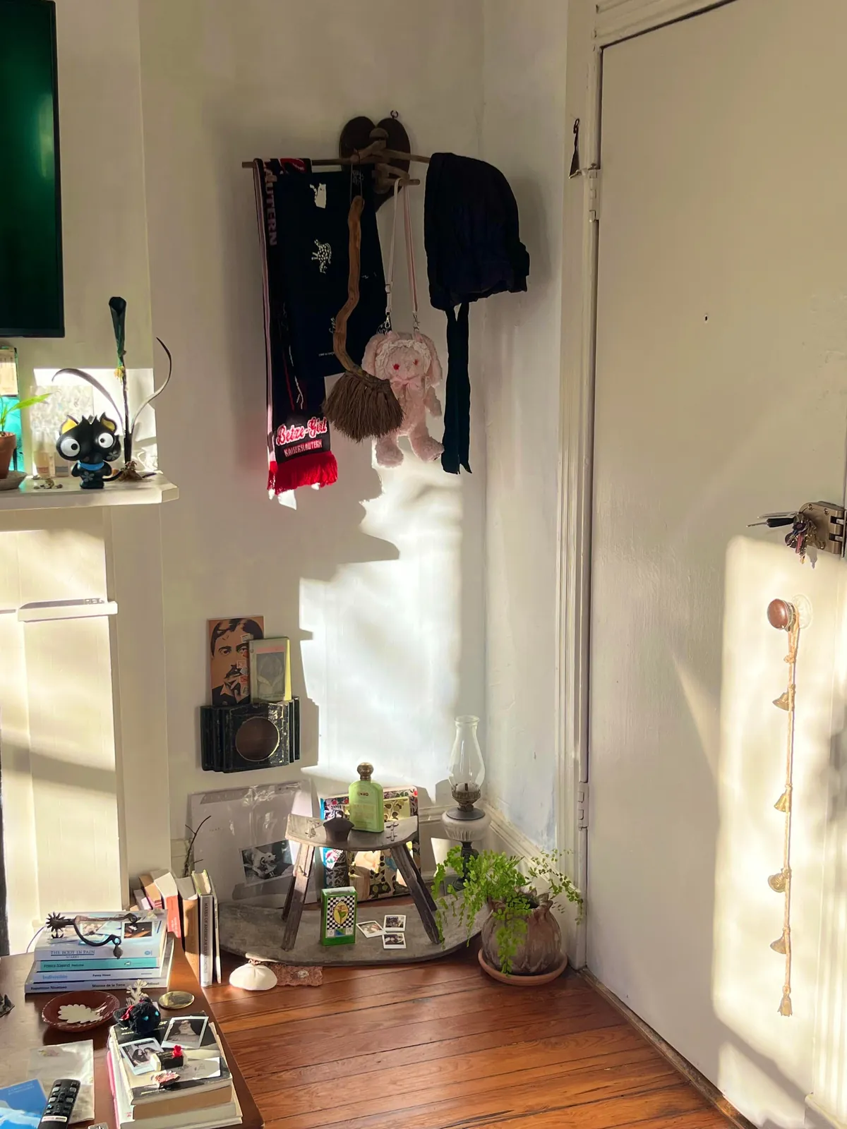 Home Is Where 🐈 Is