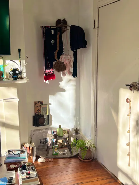 Home Is Where 🐈 Is