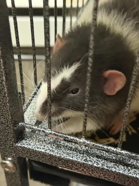 The difference between askin for snacks and bein told you’ve had plenty 🤣🤣