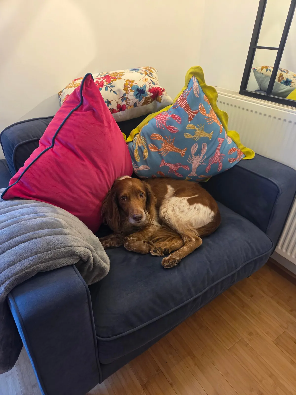 Benji is the gooddest pupperino