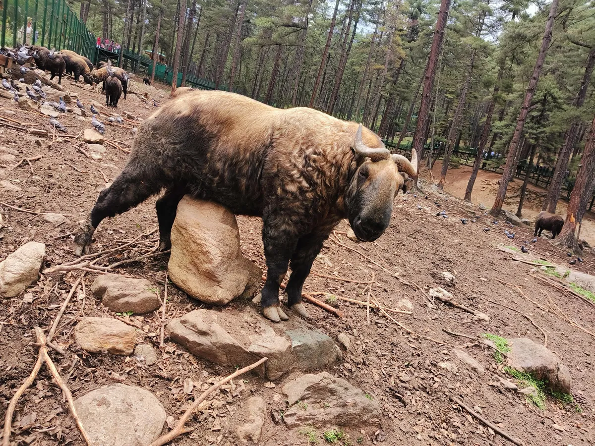 Bhutan, the country that changed my perspective towards life...