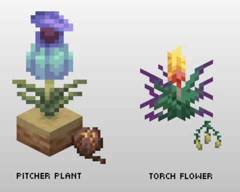 Most "un-used" thing, Torch flower and Pitcher plant seeds!