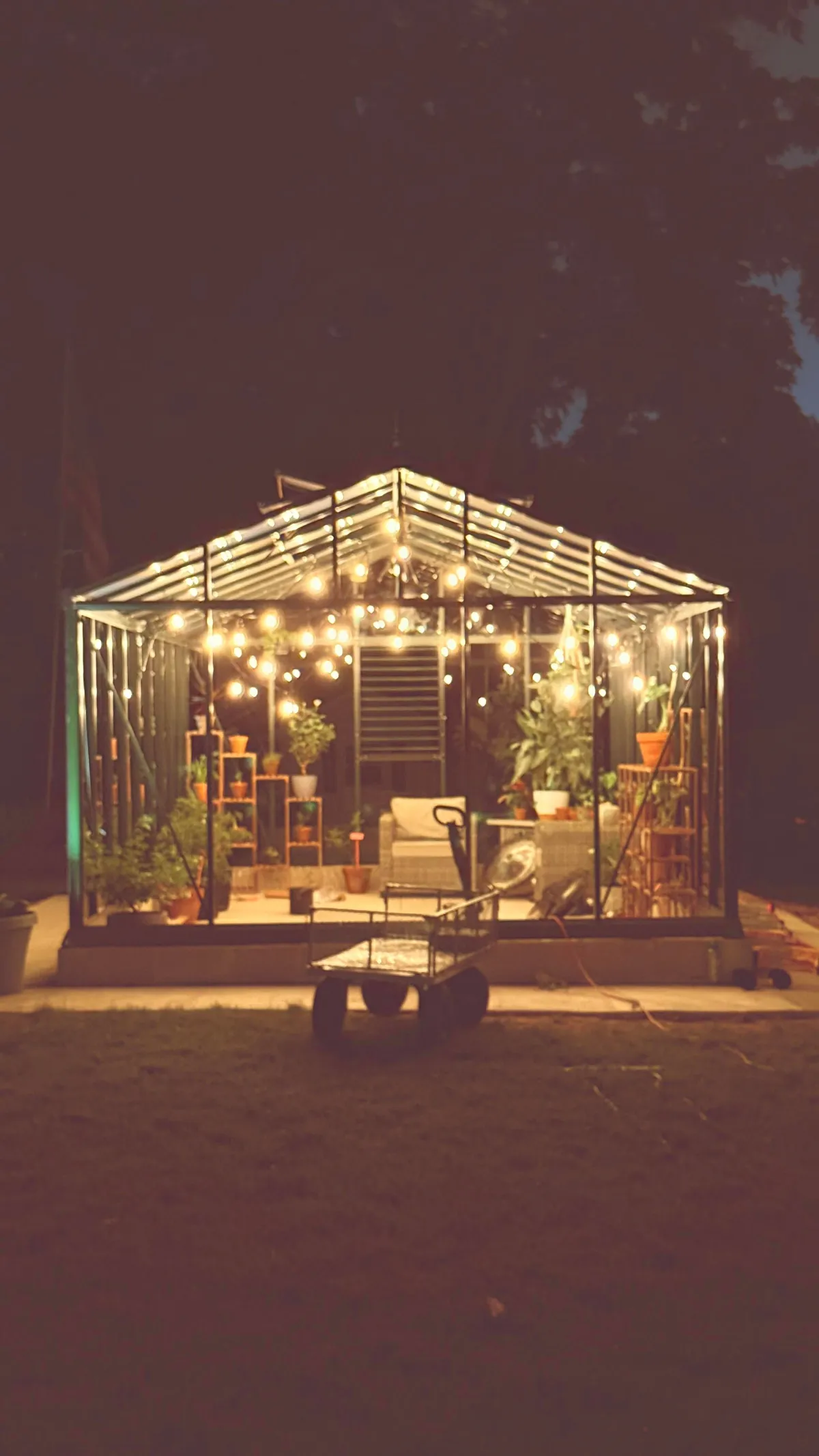 My dream greenhouse is almost complete!