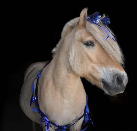 My sweet boy turns 23 years old❤️