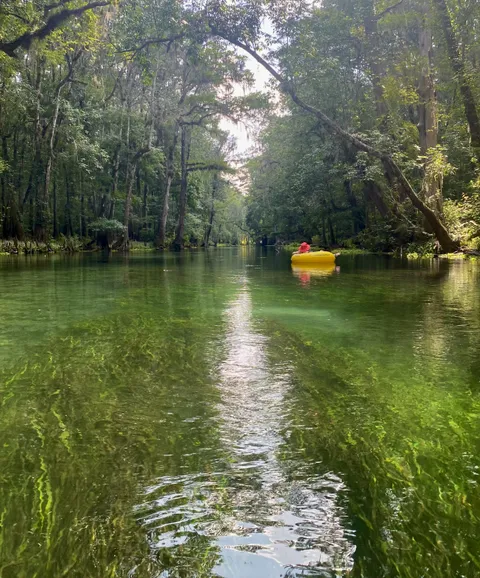 🔥The clear and beautiful spring-fed Ichetucknee River in Florida