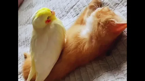 by popular demand here is more of Pluto