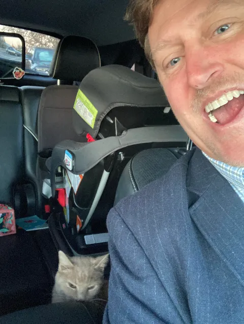 Left the office &amp; found the neighbors cat in my car.