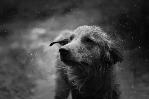 First post ever! Looking for critique