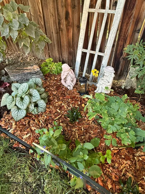 My 2nd year gardening, and I’m proud to share ‘em!