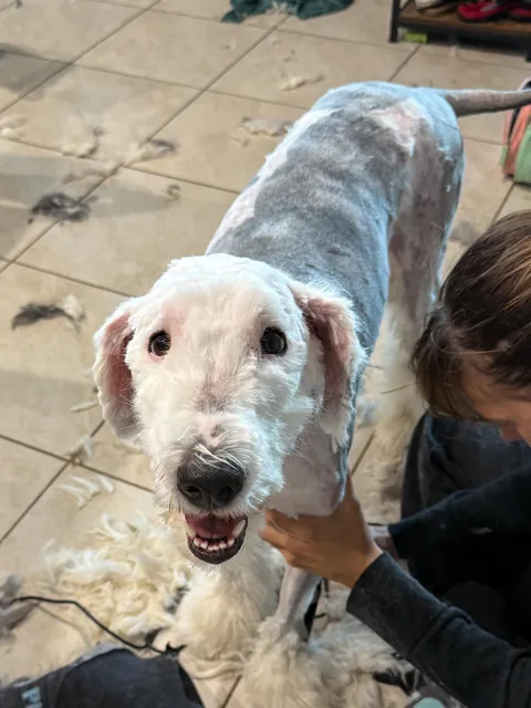 Haircut before and after