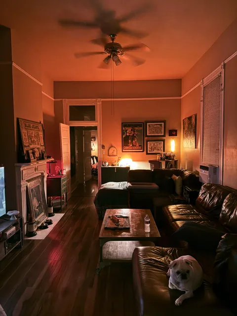 Summer Nights in New Orleans