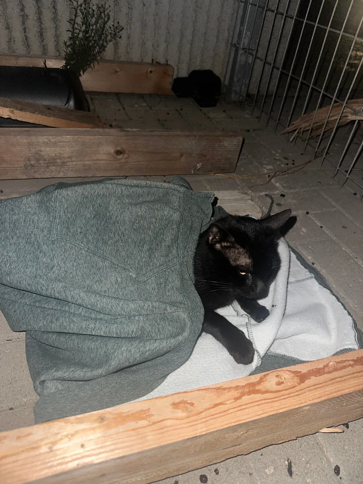 I think I really fucked up :(